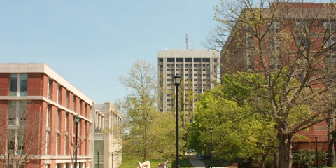 man lying down on bench